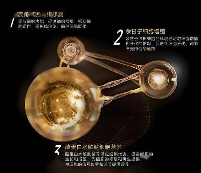 富拓外汇官网地址实时外汇波动揭示市场机遇，我是如何抓住的